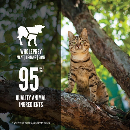 Orijen Tuna, Salmon & Beef Recipe Canned Cat Food