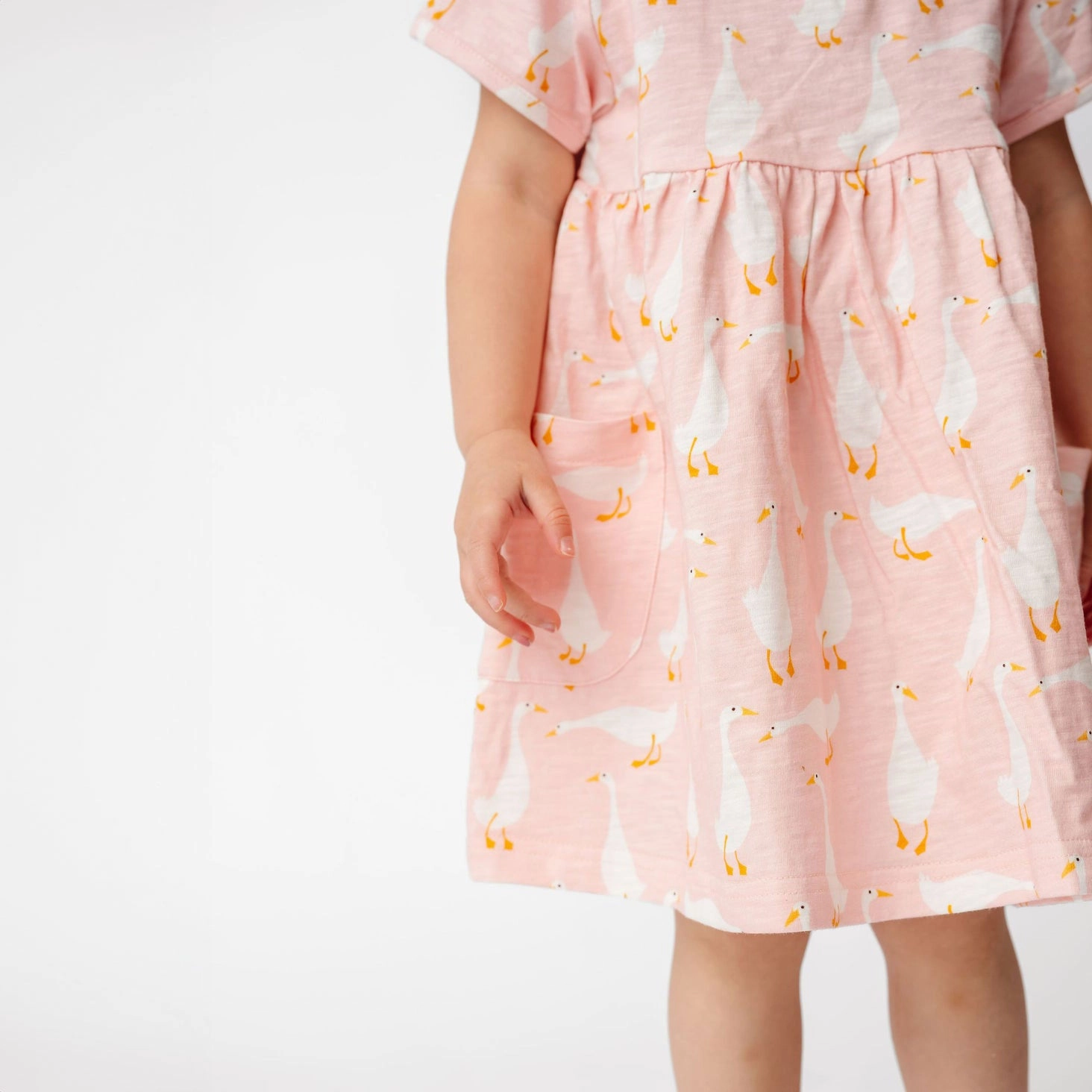 T-Shirt Dress - Goosie - FINAL SALE