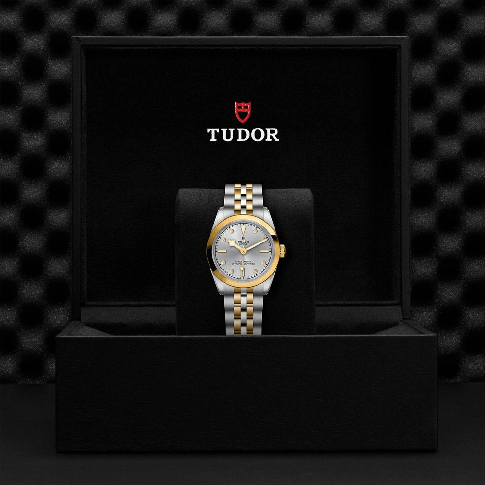 TUDOR Black Bay One 31 S&G Silver Dial Steel & Gold Watch M79603-0007